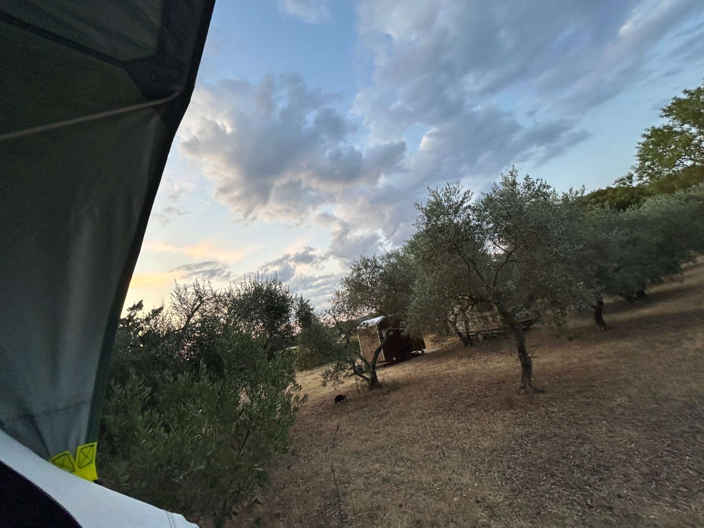 tipi zelt beige Tipi-Zelt Beige