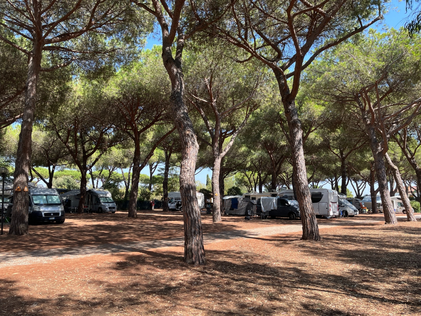 Campspace in Marina di Grosseto, Grosseto