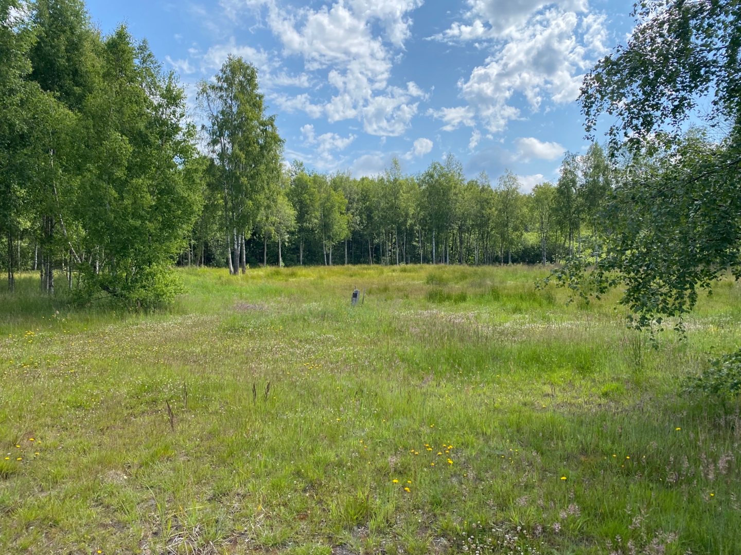 Campspace in Ventspils