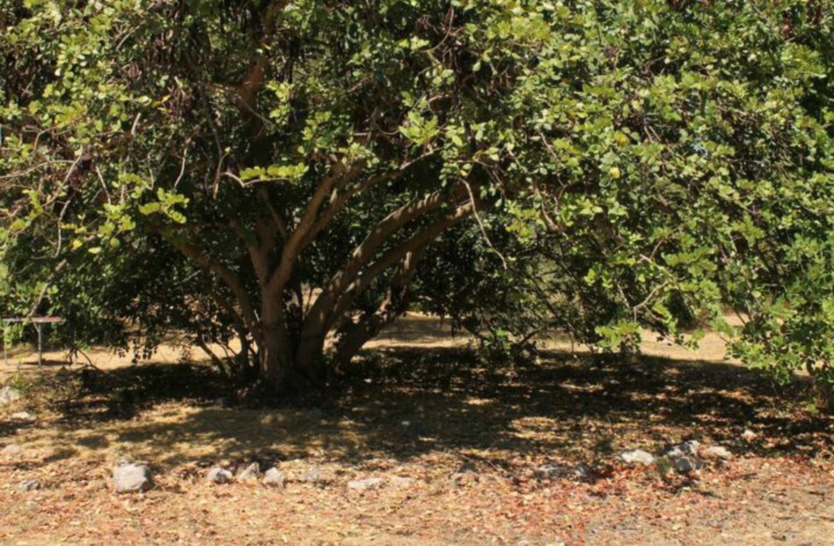 Campspace in Siracusa, Siracusa