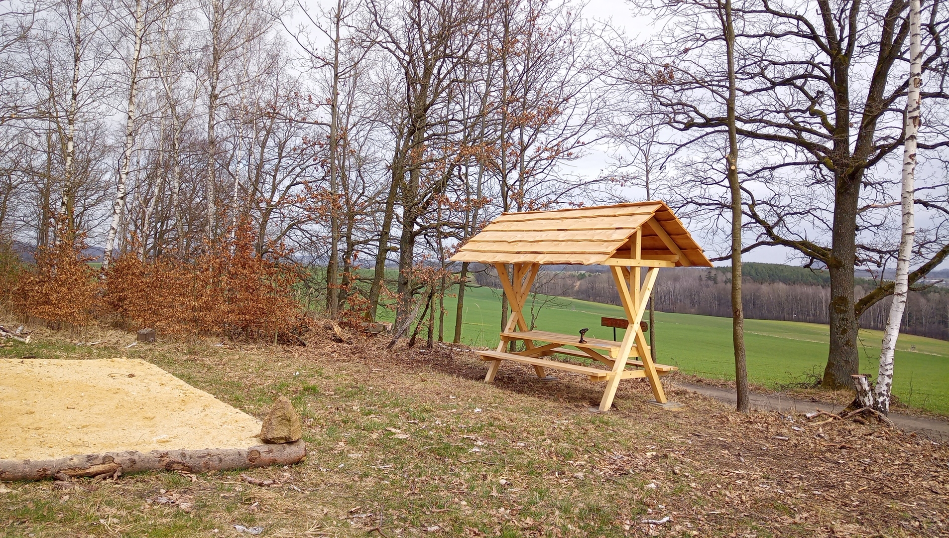 Nature camping in the forest in Saxony