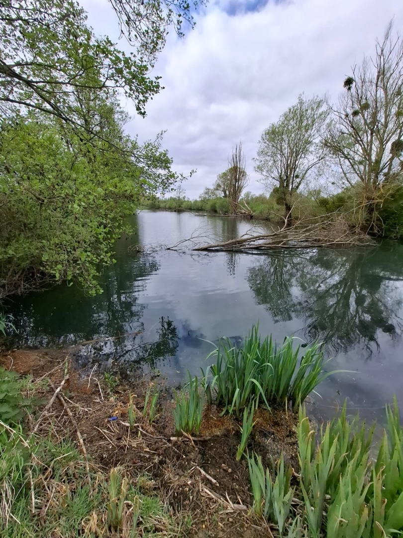 Campspace in Naintre, Nouvelle-Aquitaine