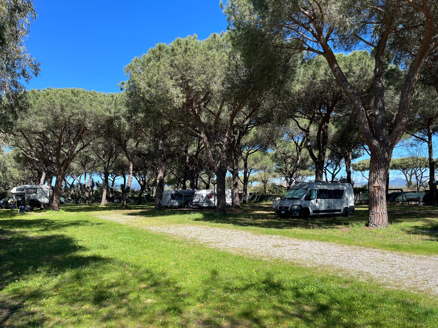 Campspace in Marina di Grosseto, Grosseto