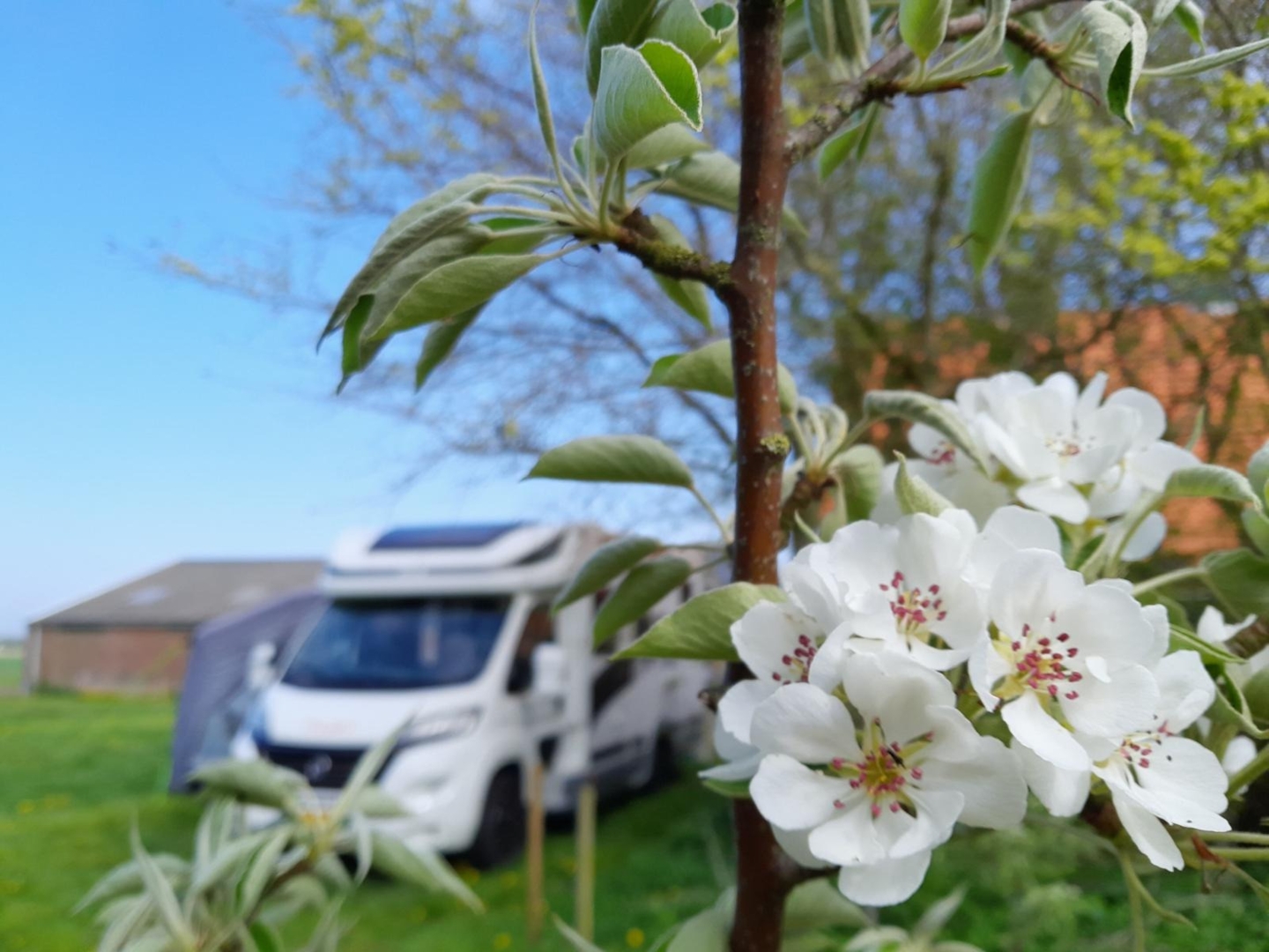 Campspace in Oosterend, North Holland