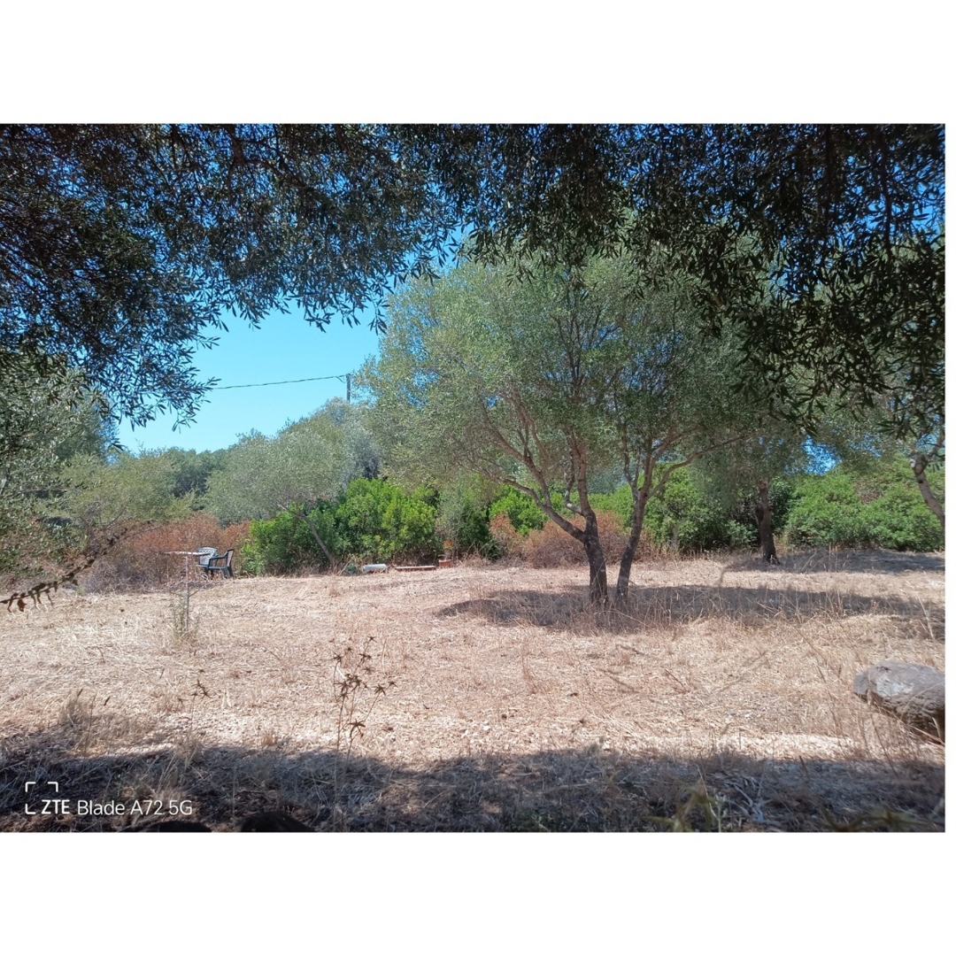 Campspace in Orosei, Nuoro