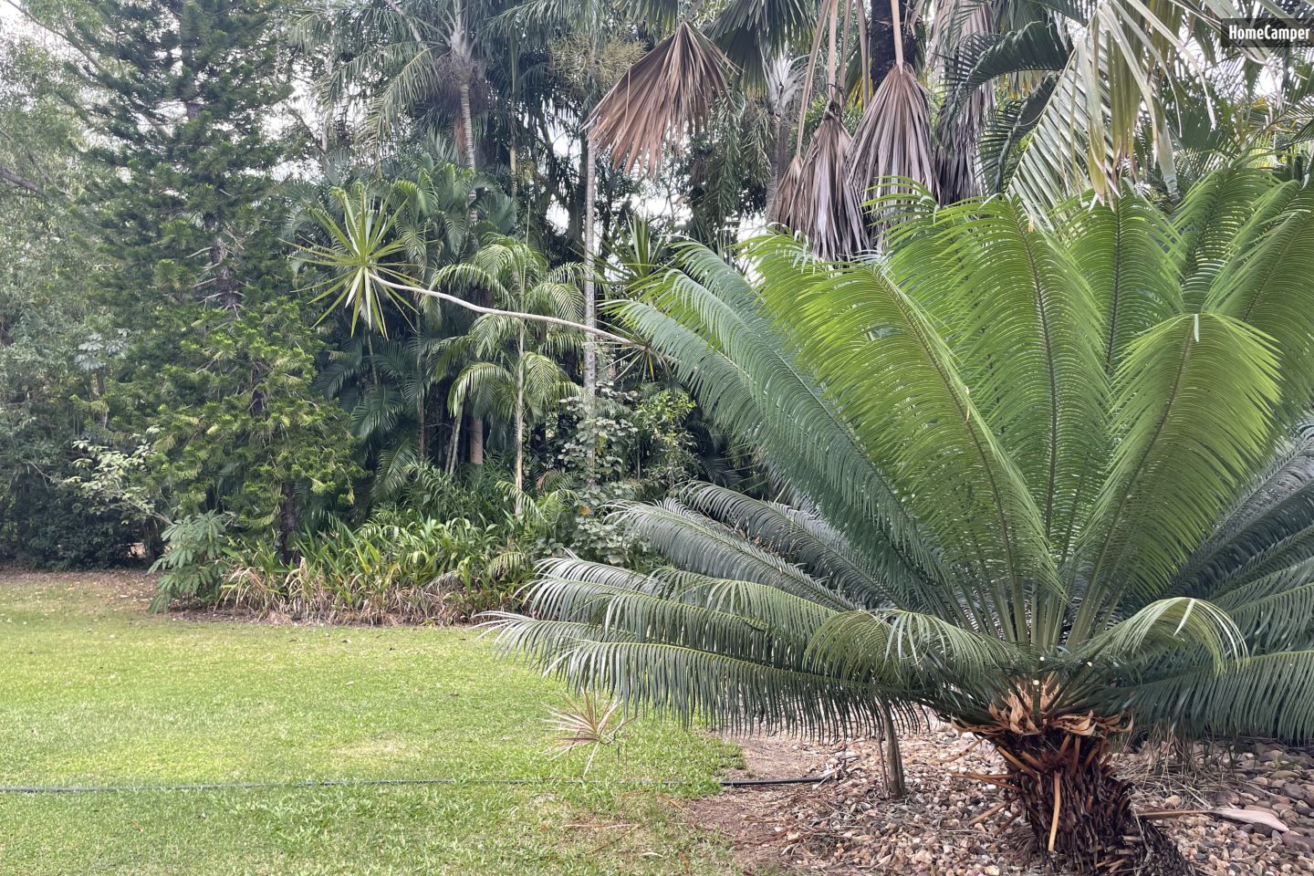 Campspace in McMinns Lagoon, NT