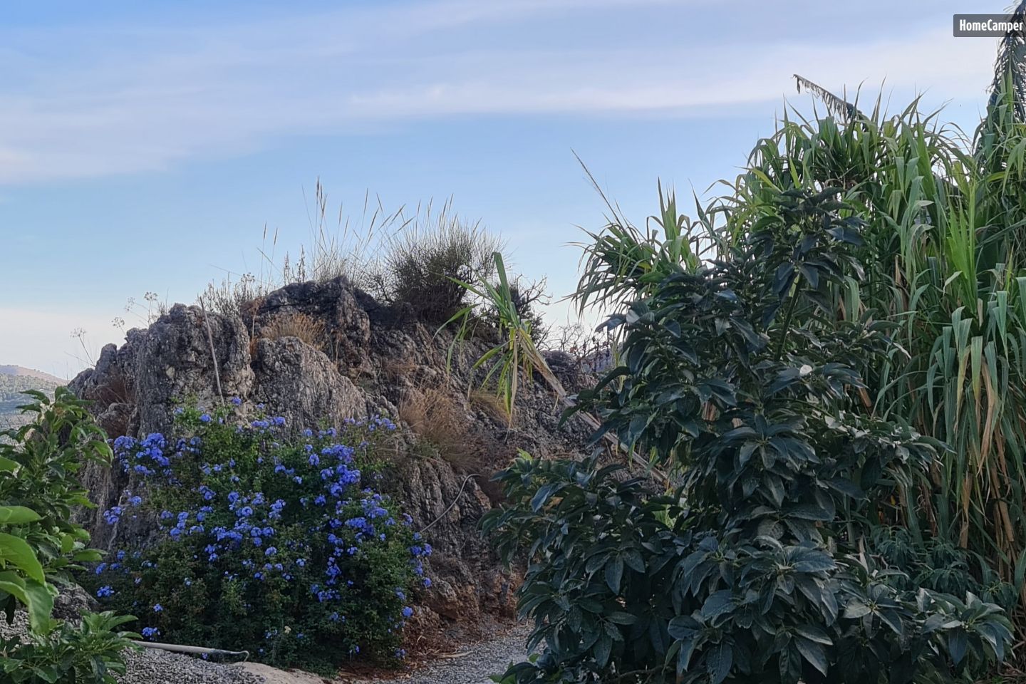 Campspace in Granada, Andalusia