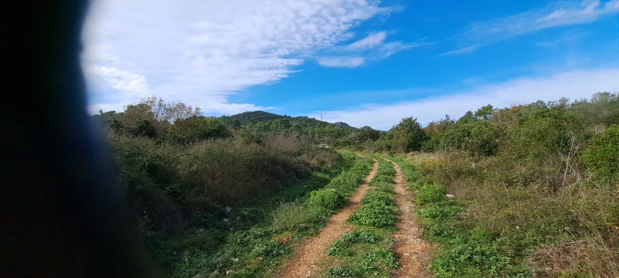 Campspace in Preko, Island Ugljan, Zadarska županija