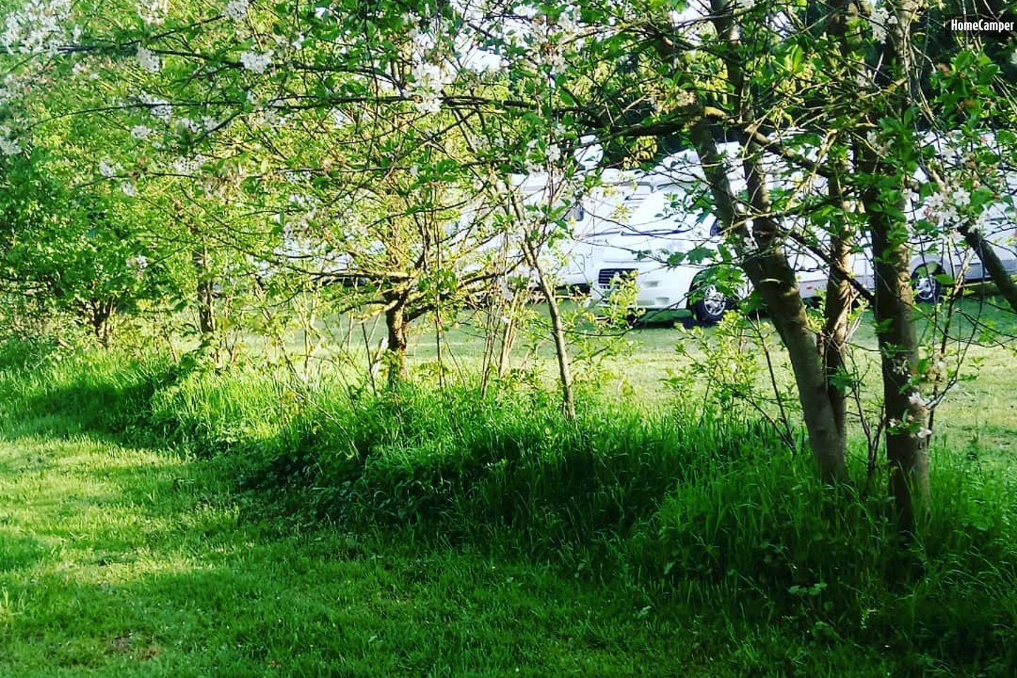Campspace in Azay-le-Ferron, Centre-Val de Loire