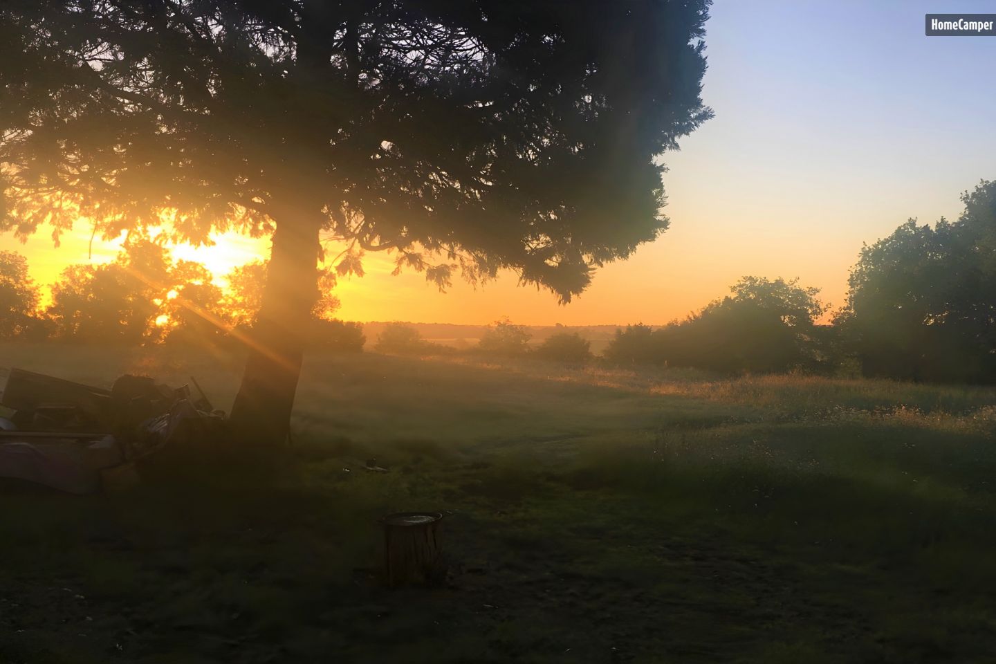 The Green Meadows of Roche in Verteuil-sur-Charente, New Aquitaine