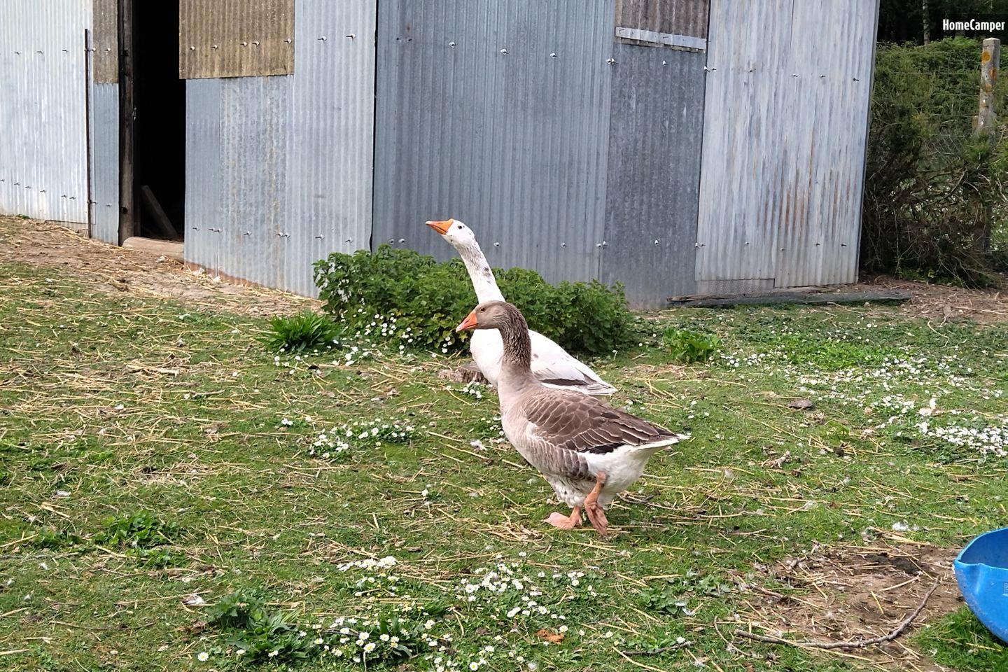 Campspace in Neuil, Centre-Val de Loire