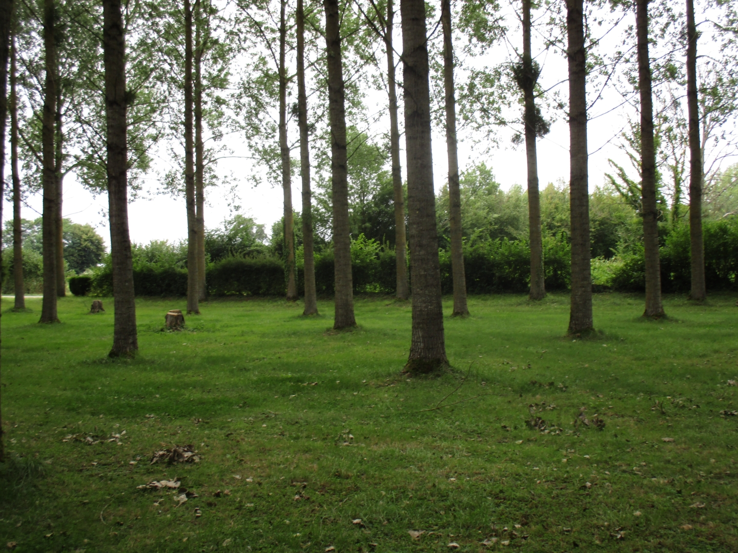 Campspace in Cilly, Hauts-de-France