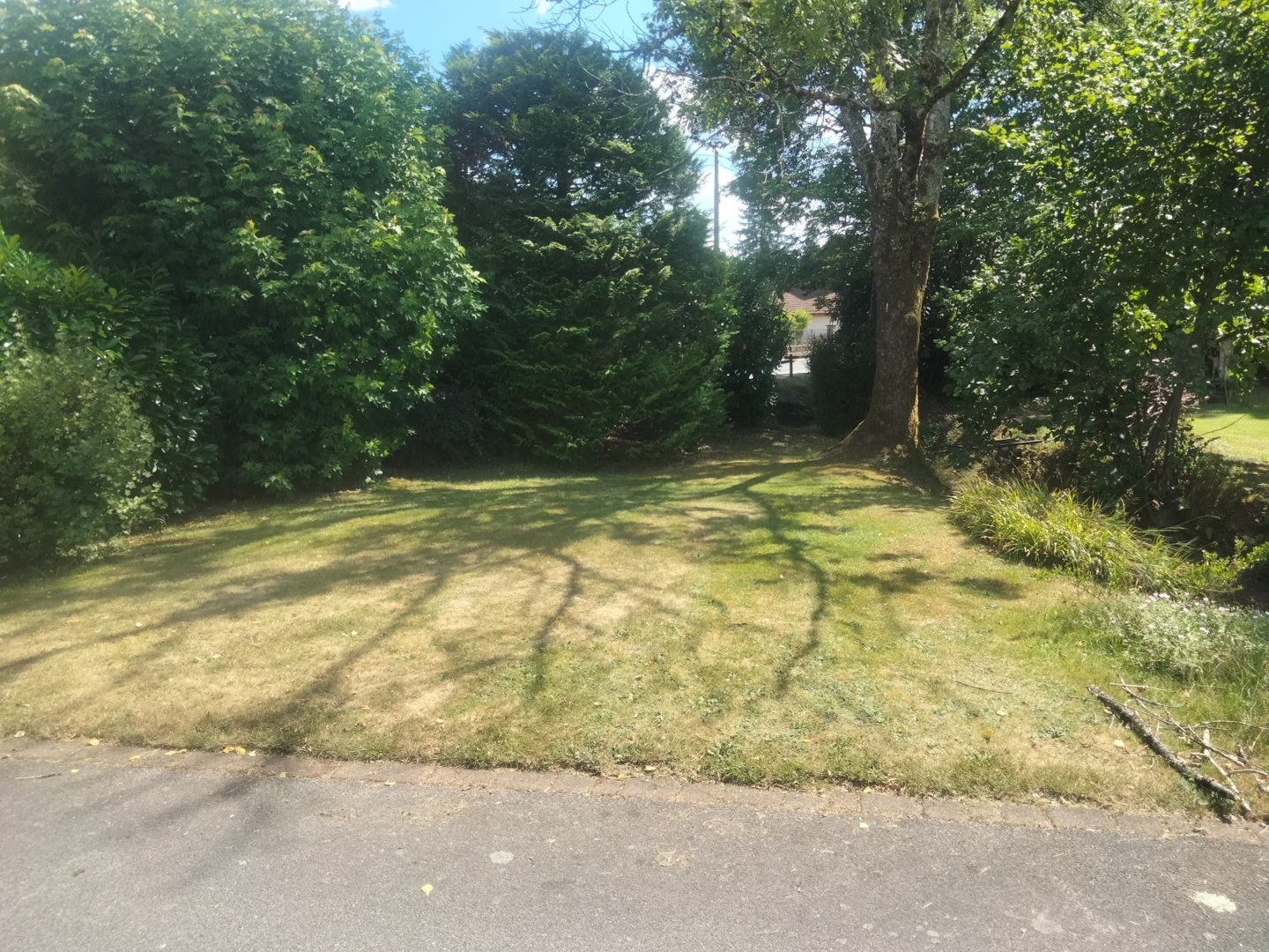 Campspace in Vecoux, Grand Est