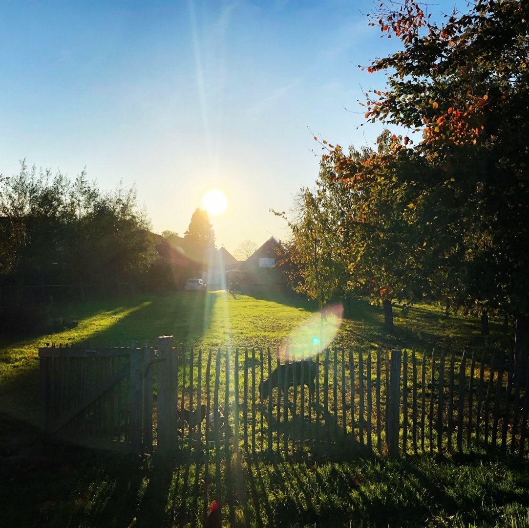 2000m2 garden with animal meadow near Den Bosch