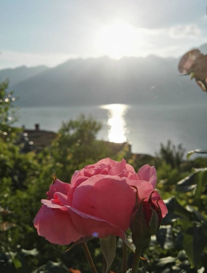Campspace in Malcesine, terazza panoramica  Verona