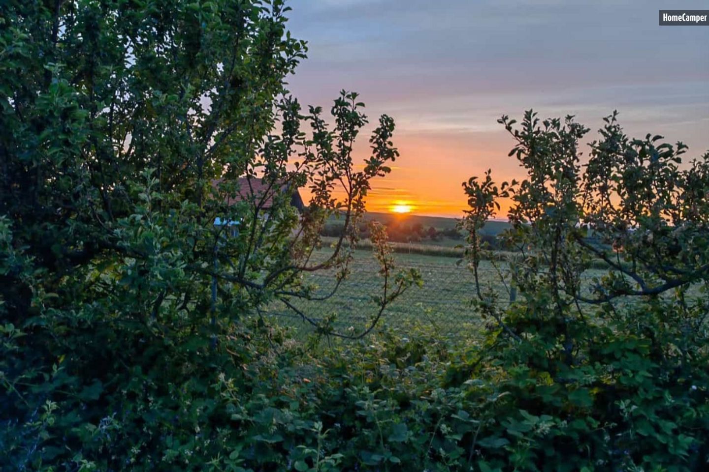 Campspace in Kriegsfeld, Rhineland-Palatinate