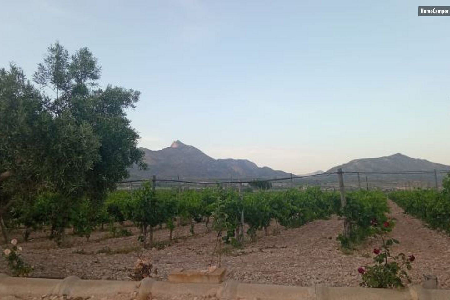 Campspace in August, Alicante