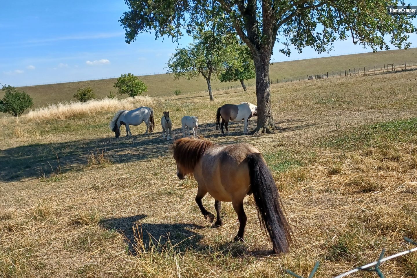 Nature awaits you in Radonvilliers!