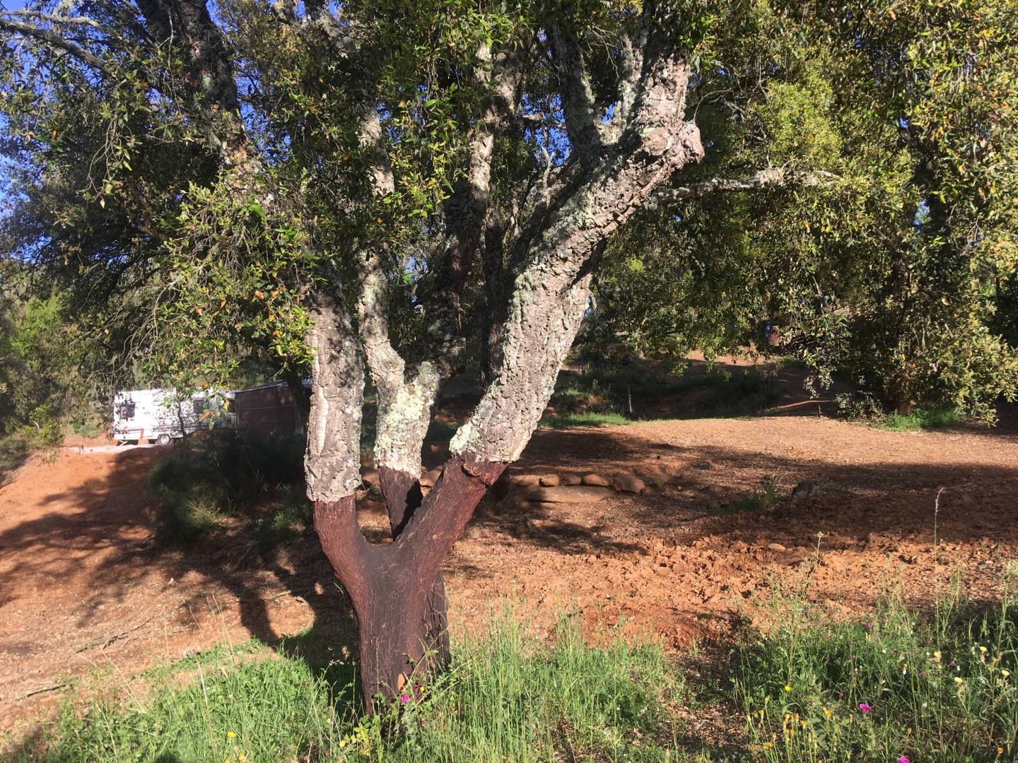 Campspace in Fuenteheridos, Andalusia