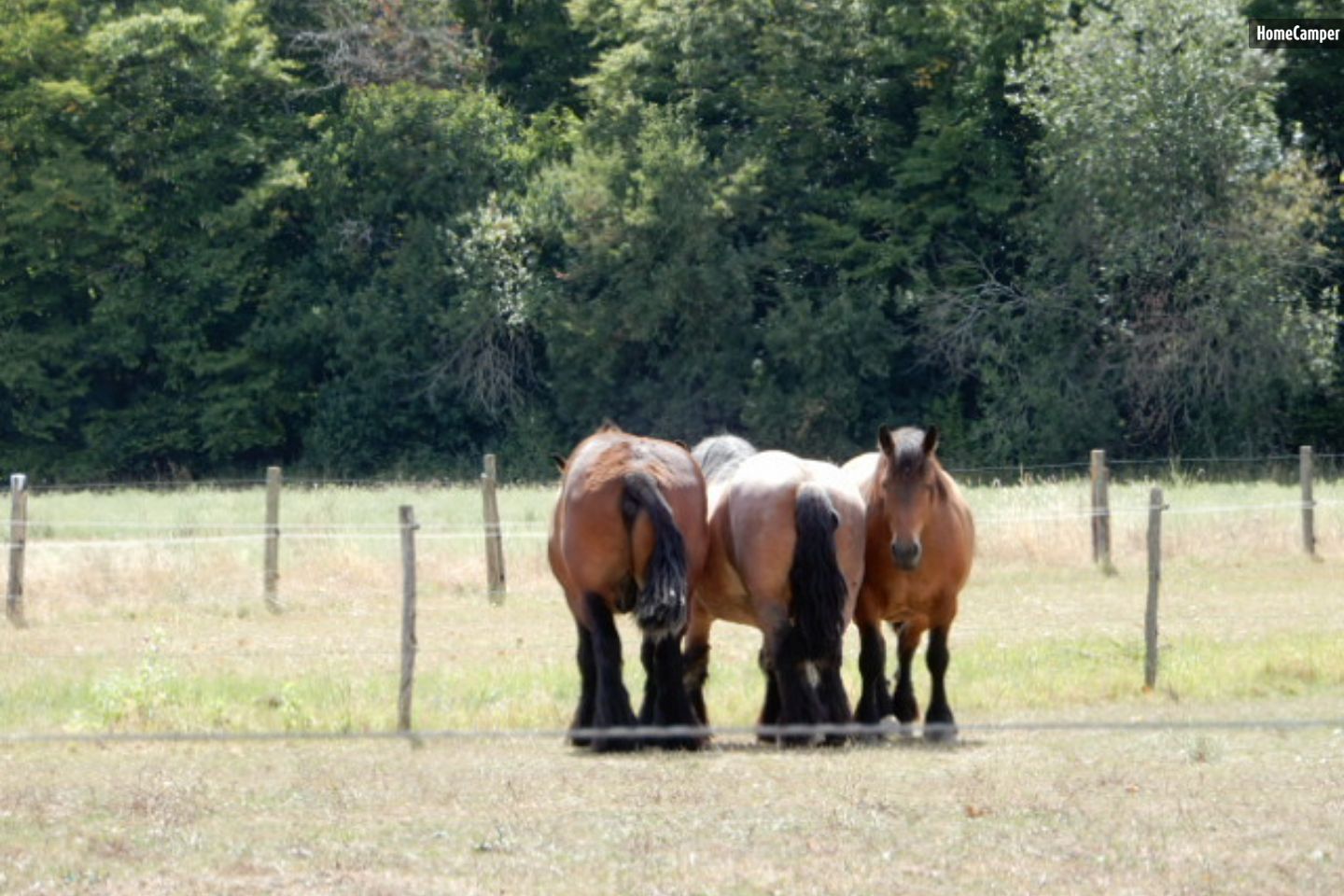 Campspace in Saint-Germain-des-Bois, Centre-Val de Loire