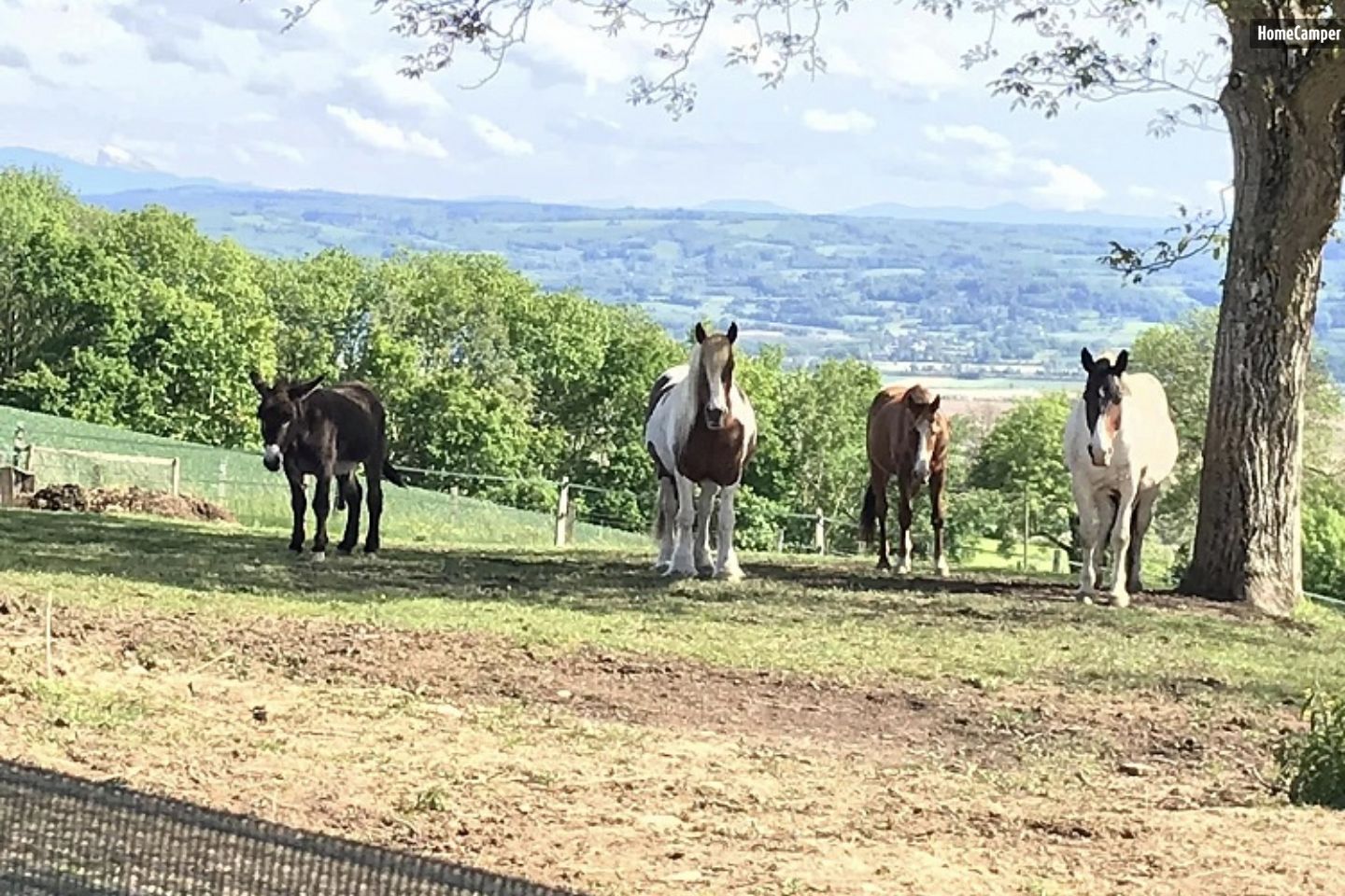 Campspace in La Côte-Saint-André, Auvergne-Rhône-Alpes
