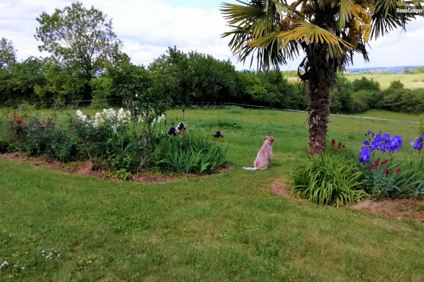 Campspace in Saint-Étienne-de-Villeréal, Nouvelle-Aquitaine