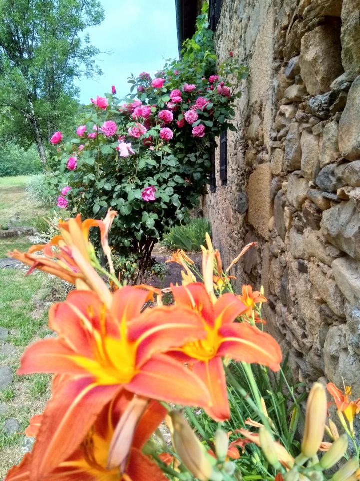 Campspace in LATOUILLE-LENTILLAC, Occitanie