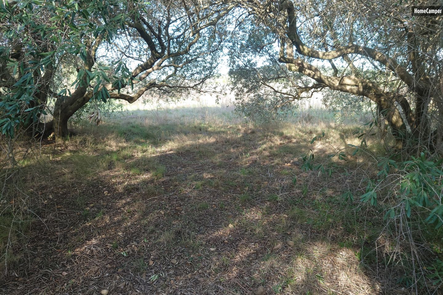 Campspace in Cuxac-d'Aude, Occitanie