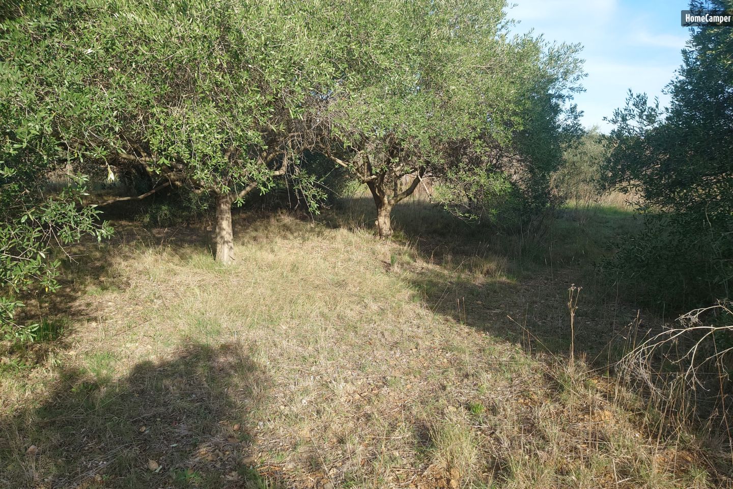 Campspace in Cuxac-d'Aude, Occitanie