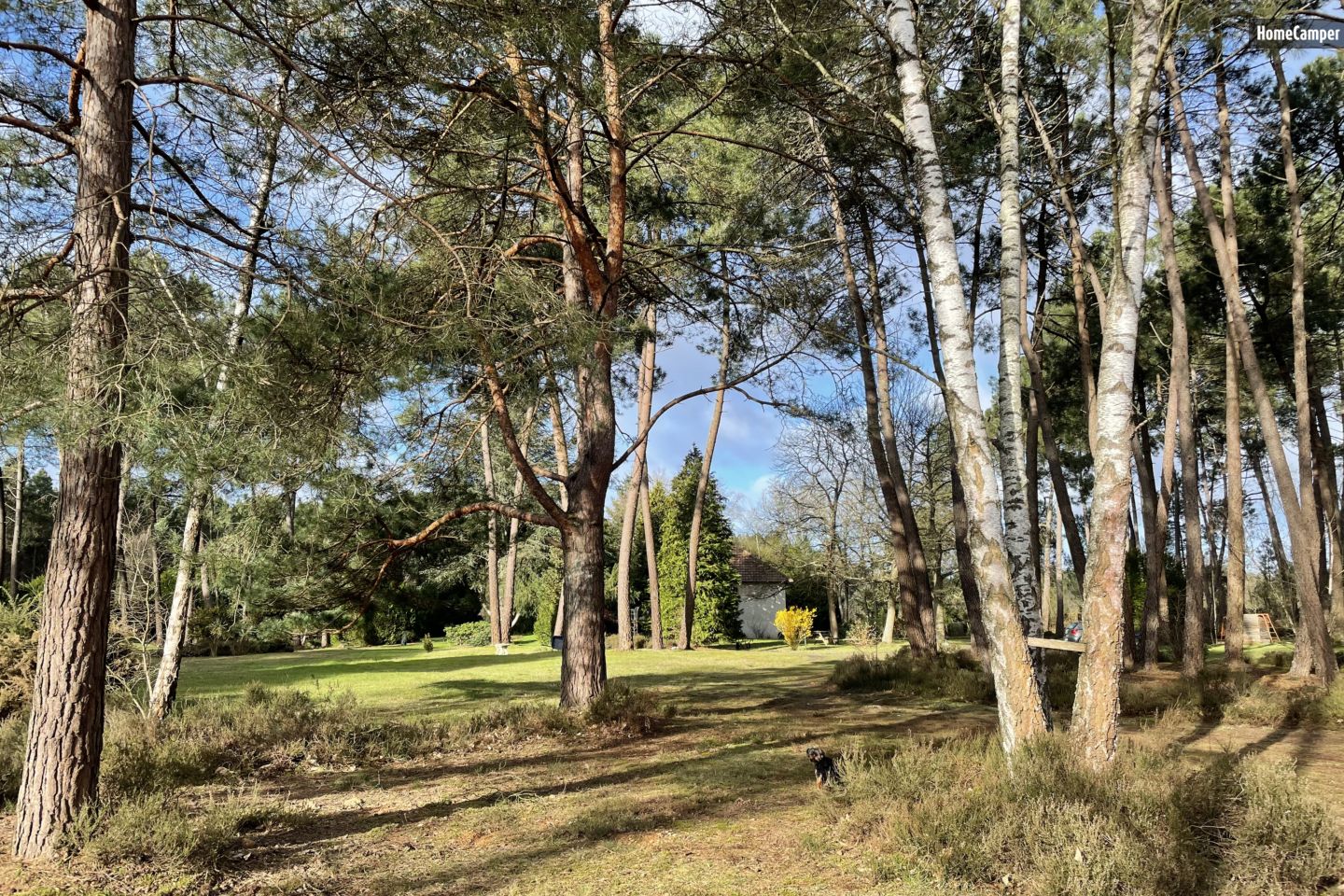Campspace in Parigné-l'Évêque, Pays de la Loire