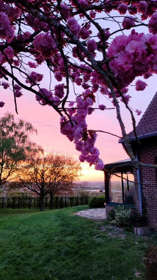 Safe location in the heart of the orchards 🍏