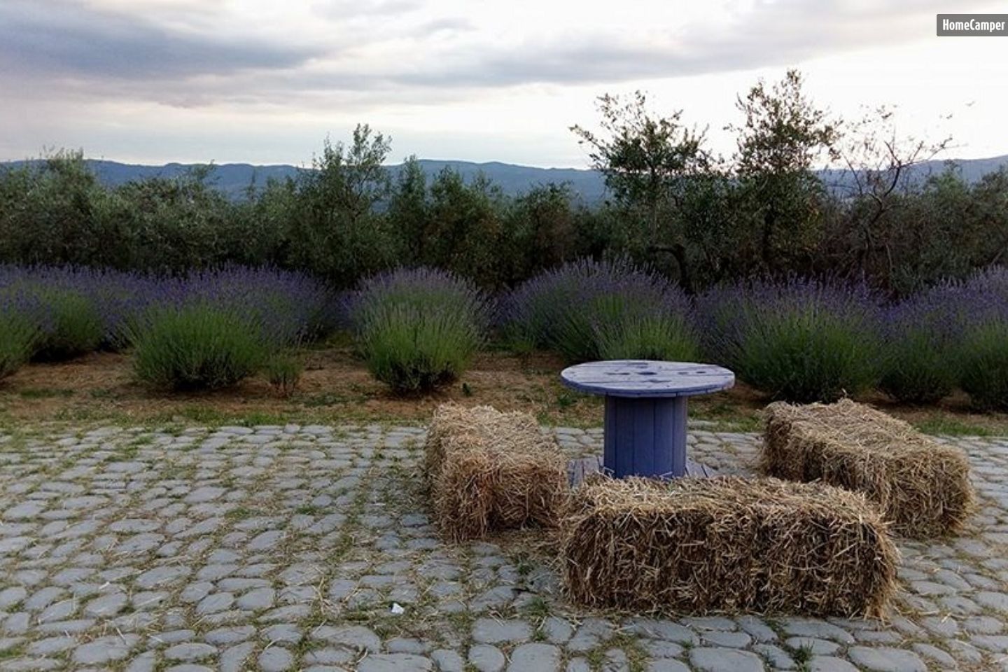 Campspace in Castelfranco PiandiSco, Arezzo