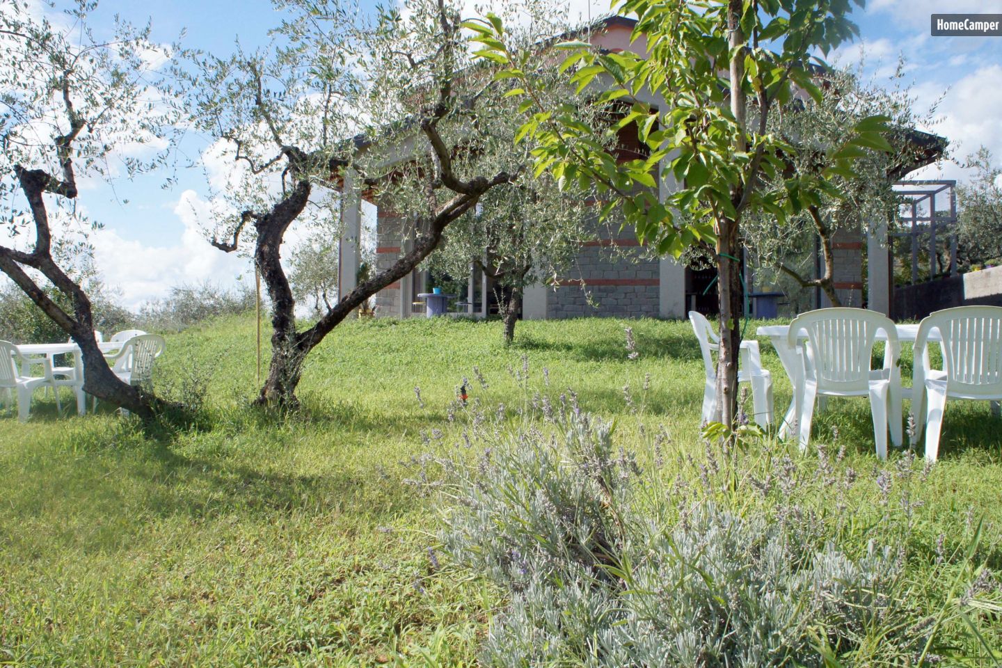 Campspace in Castelfranco PiandiSco, Arezzo