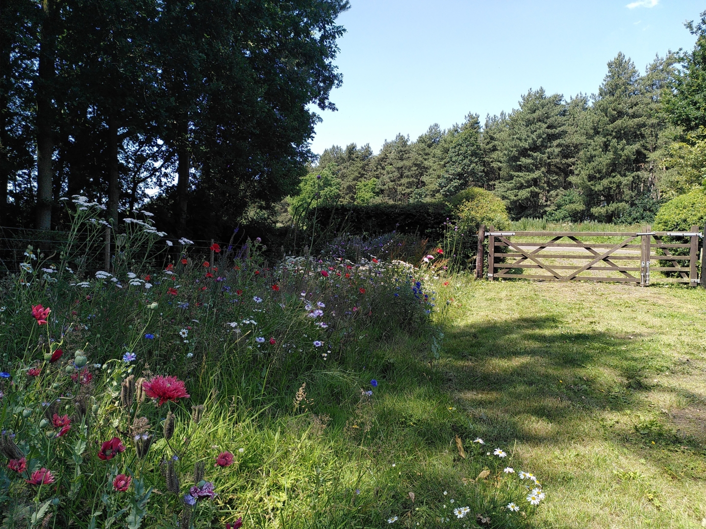 Campspace in Little Massingham, England