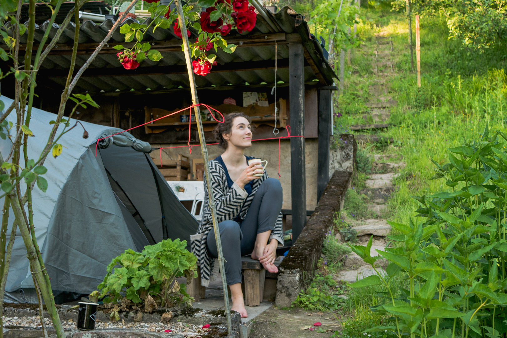 klimaanlage mobil camping EcoFlow WAVE 3 – Mobile Klimaanlage & Heizung für Camping & Off-Grid main image 1