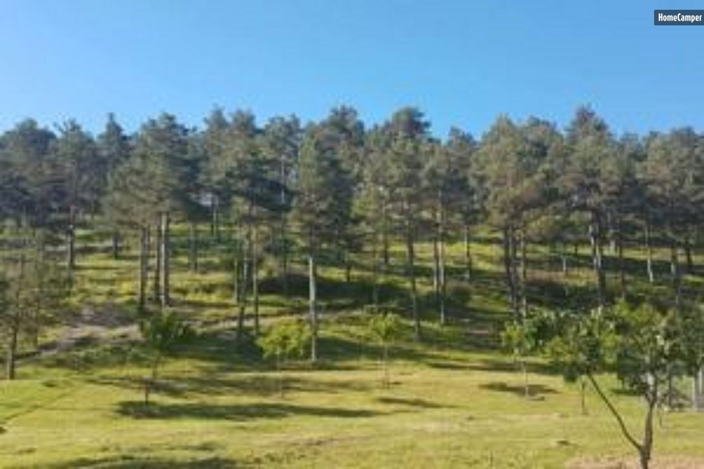 Boiscieux Estate / Nature campsite