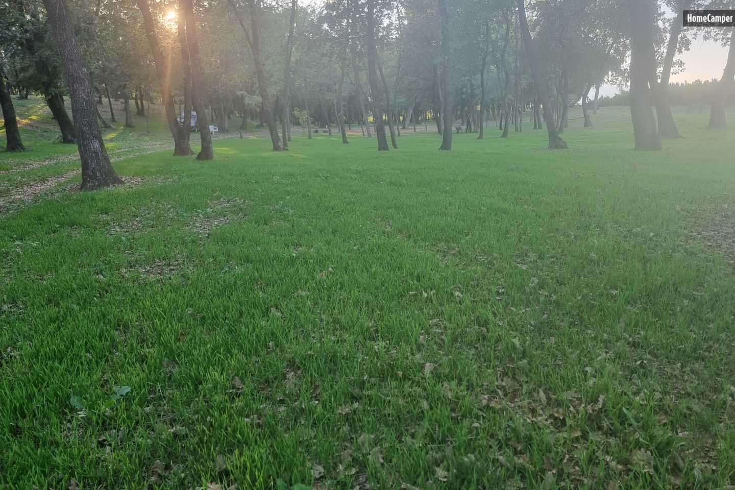 Le Bois Barbier, wooded and fenced land