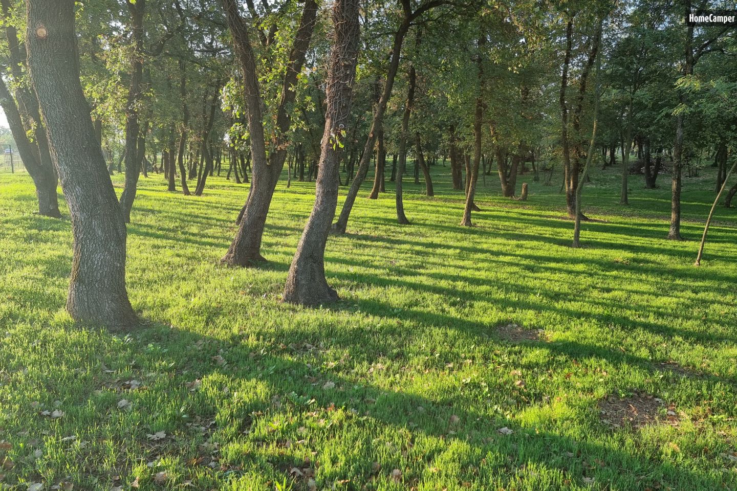 Le Bois Barbier, wooded and fenced land