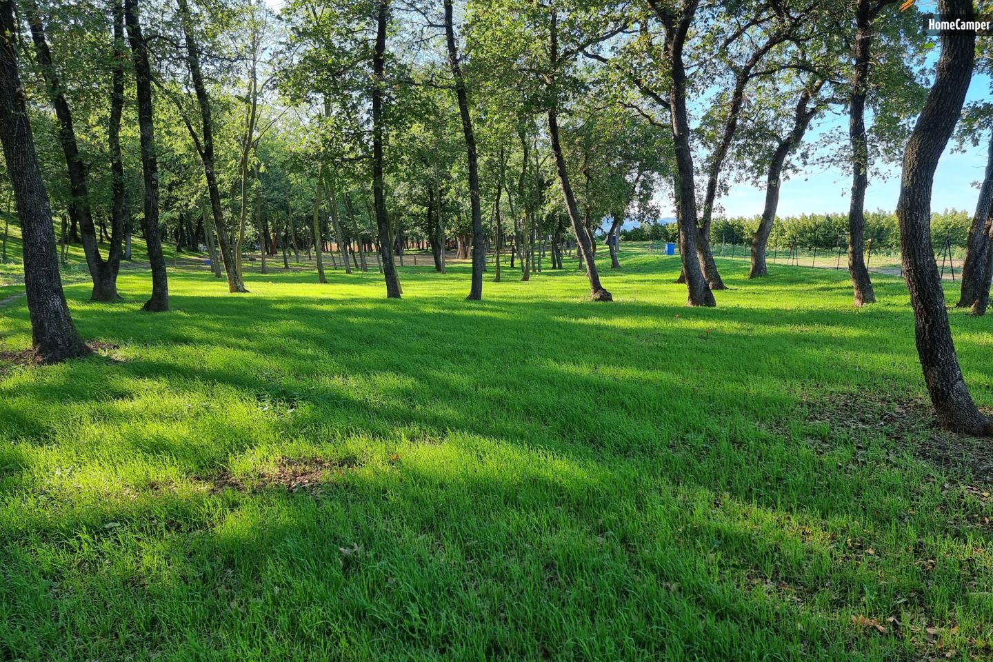 Le Bois Barbier, wooded and fenced land