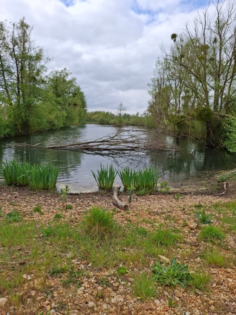 Campspace in Naintre, Nouvelle-Aquitaine