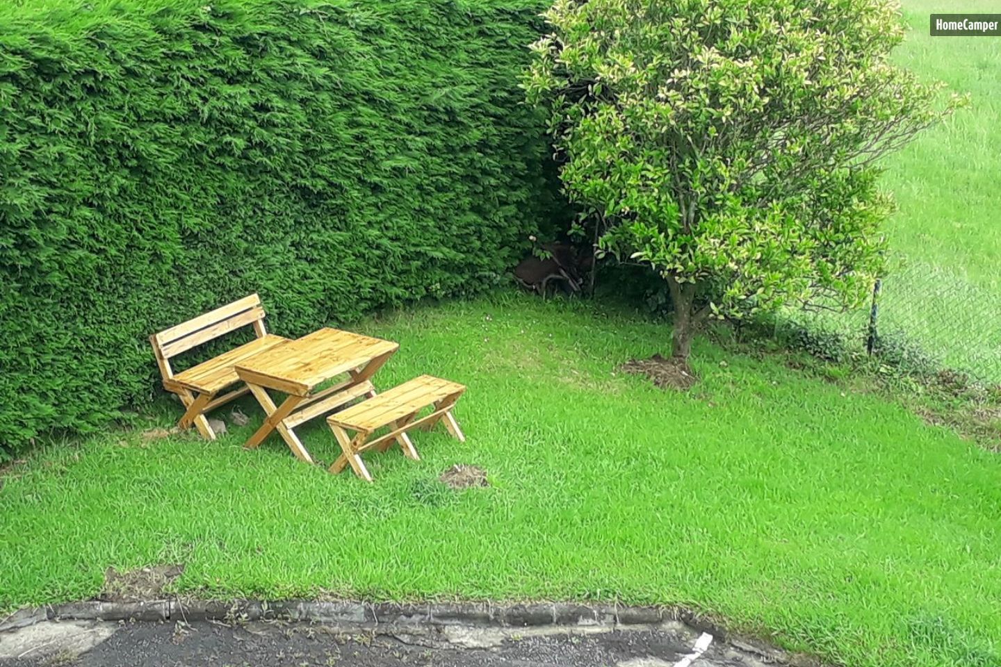 Campspace in Ribadesella, Asturias