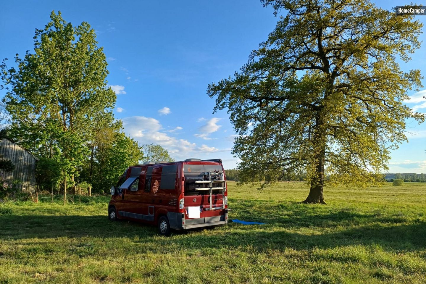 Camping on the forest island
