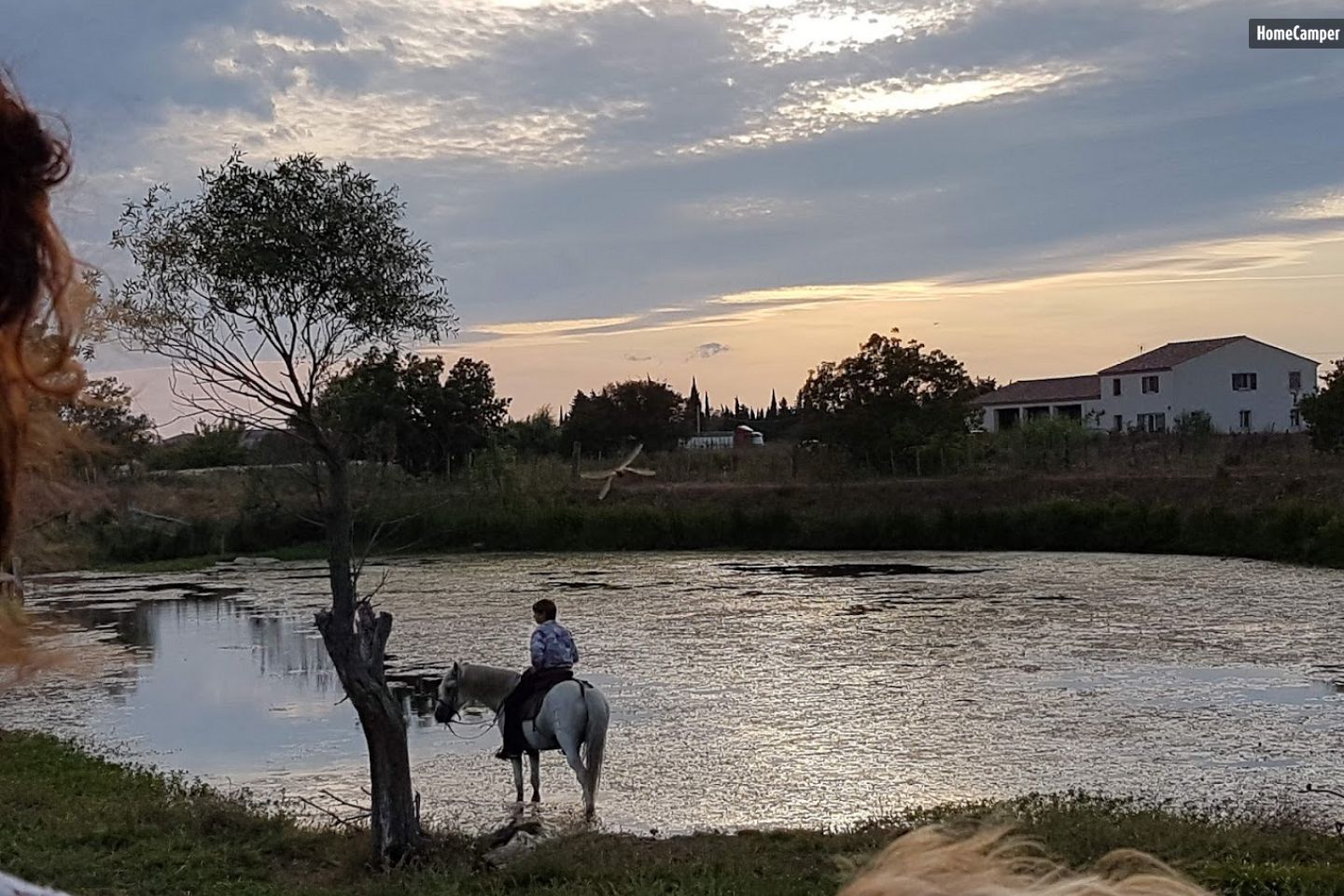 Discover the Authentic Camargue in VAUVERT, Occitania
