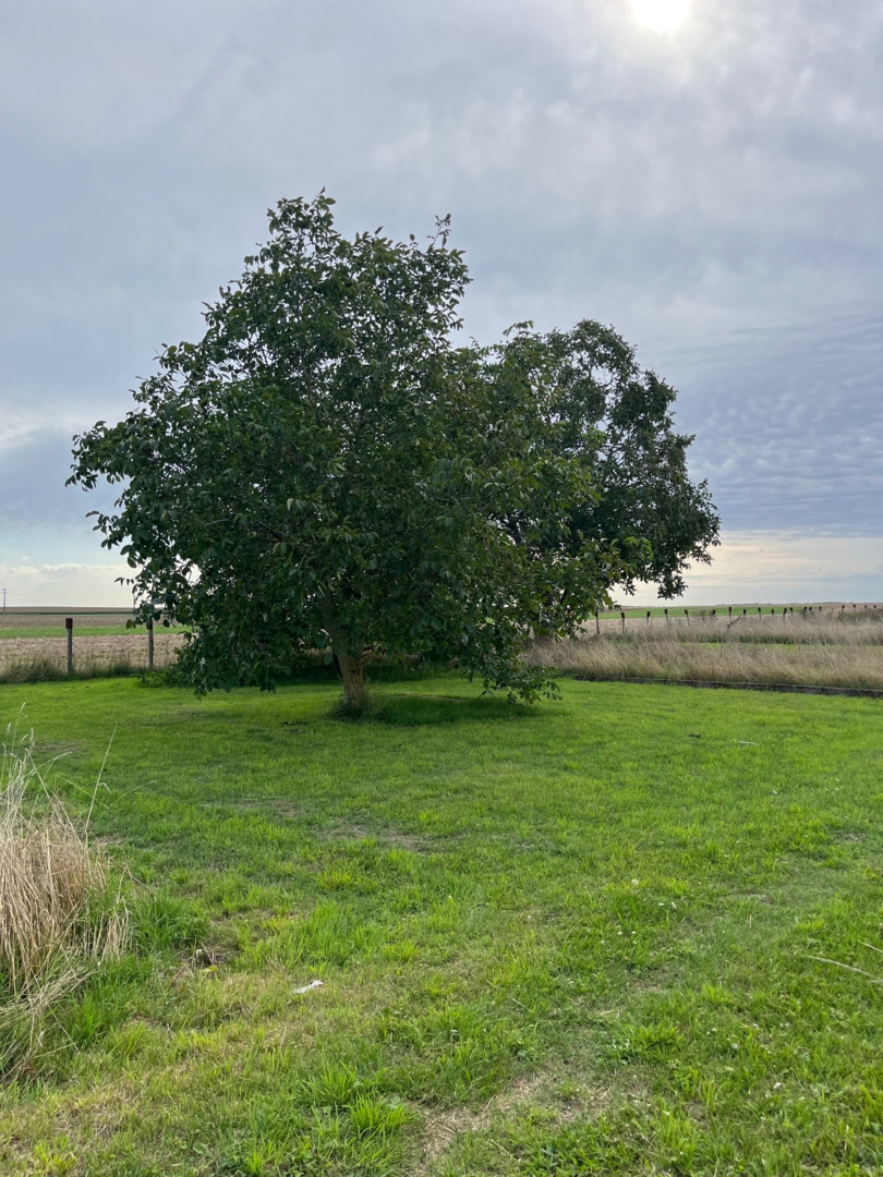 Campspace in Chandry