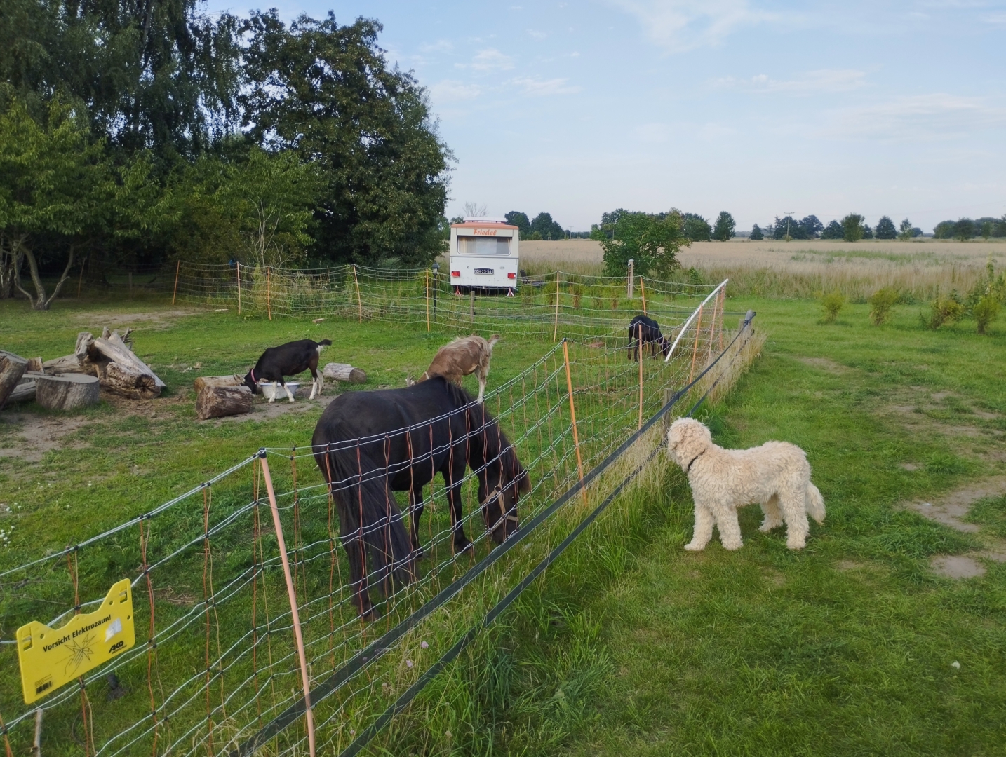 Campspace in Sandau, Saxony Anhalt