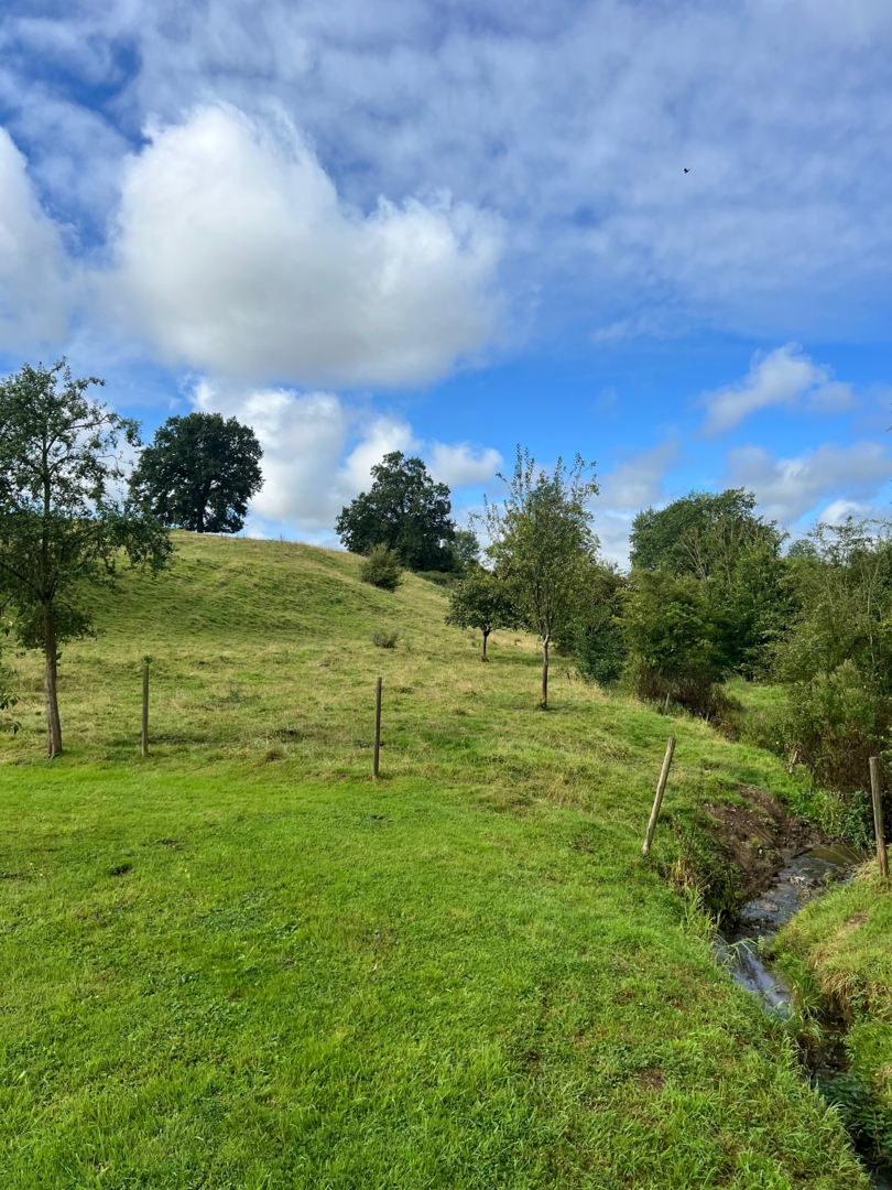 Campspace in Feluy, Hainaut