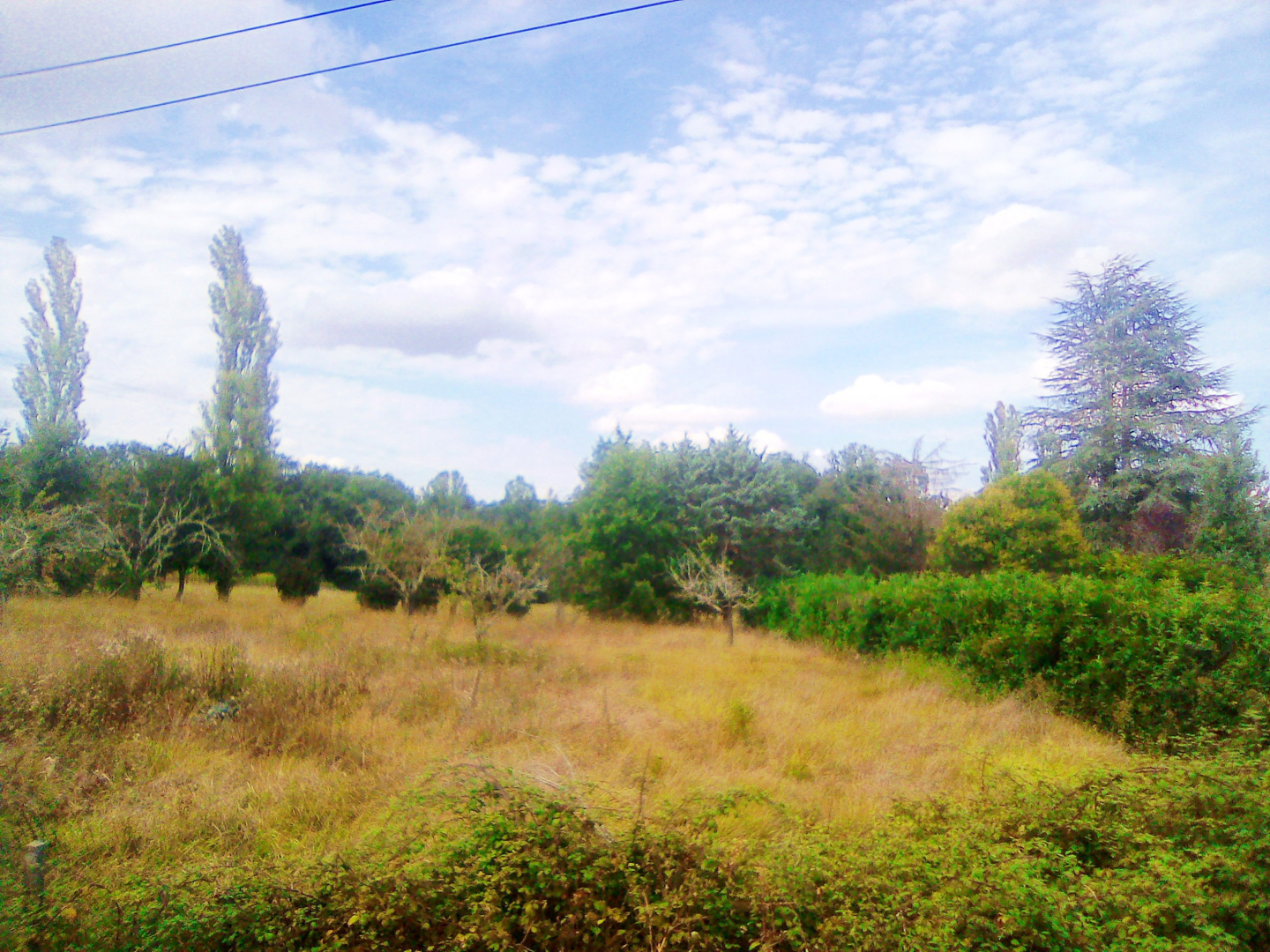 Quiet campsite on an orchard, close to a river, New Aquitaine