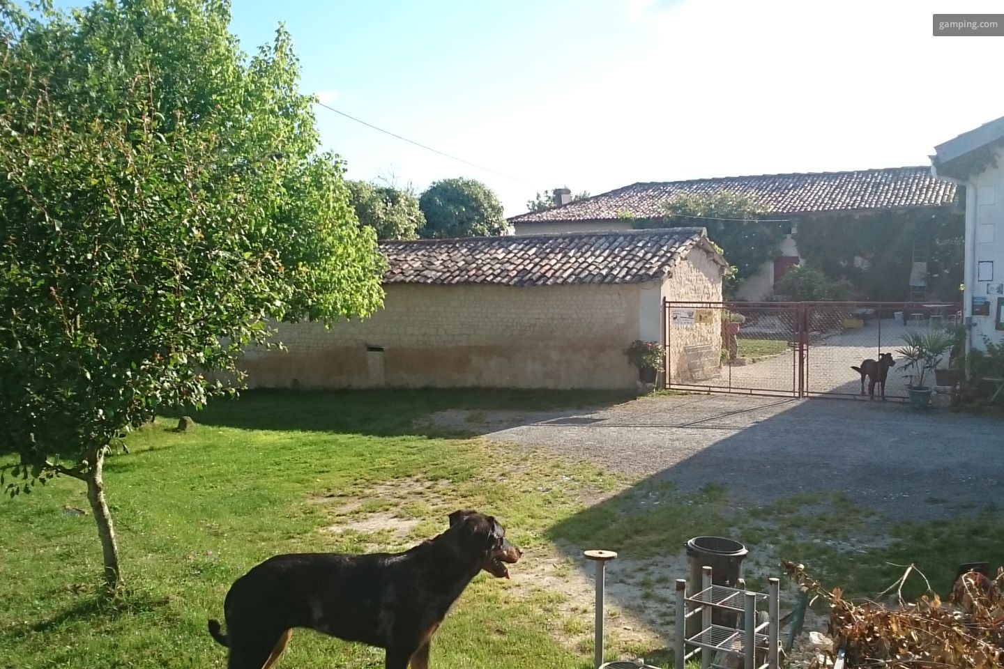 Campspace in Montchaude, Nouvelle-Aquitaine