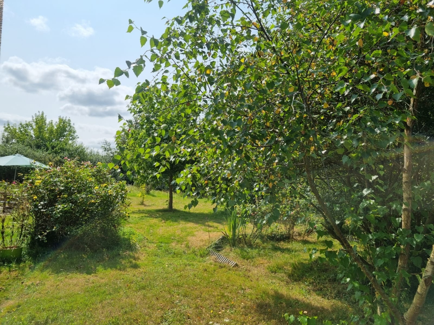 Campspace in Trans sur Erdre, Pays de la Loire,