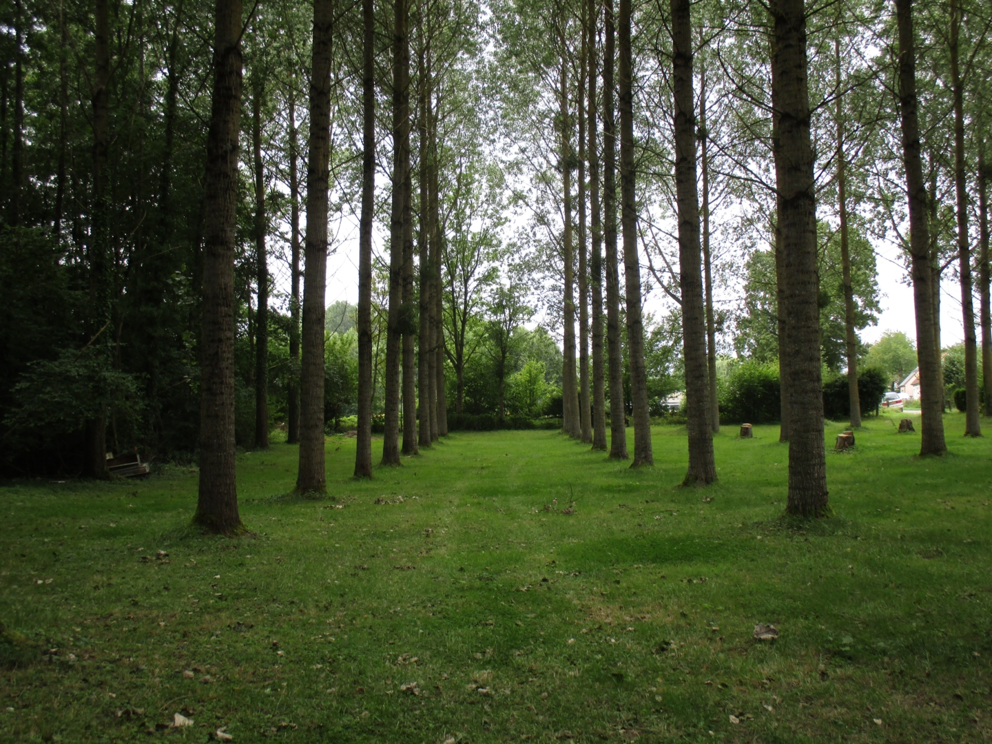 Campspace in Cilly, Hauts-de-France